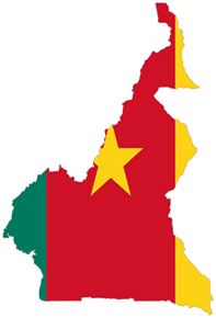 cameroon-tax